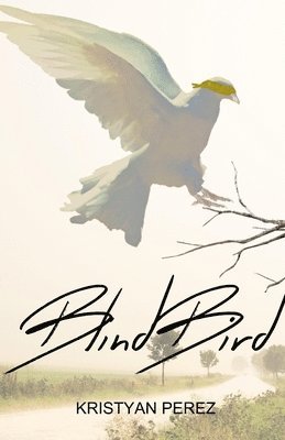 Blind Bird 1