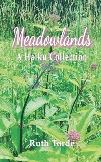 bokomslag Meadowlands