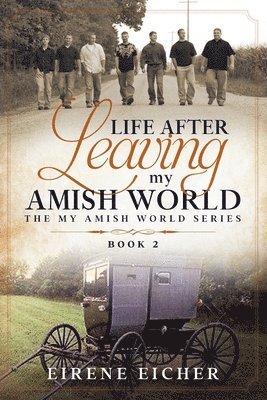 Life After Leaving My Amish World 1