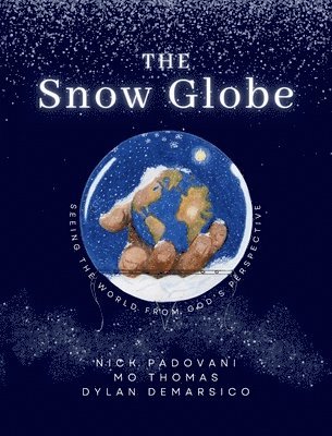 bokomslag Snow Globe