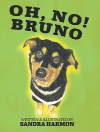 bokomslag Oh, No! Bruno