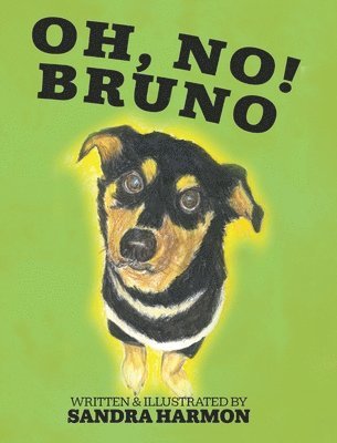 Oh, No! Bruno 1