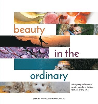 Beauty in the Ordinary 1