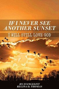 bokomslag If I Never See Another Sunshine I Will Still Love God
