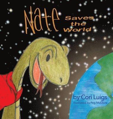 bokomslag Nate Saves the World