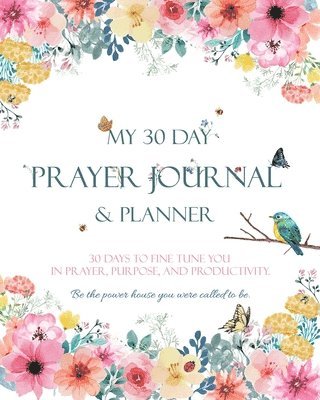 Faerie Grace - My 30 Day Prayer Journal & Planner, Häftad