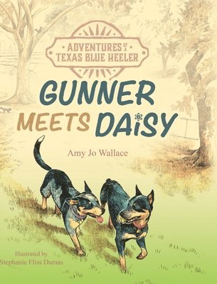 bokomslag Adventures of a Texas Blue Heeler: Gunner Meets Daisy