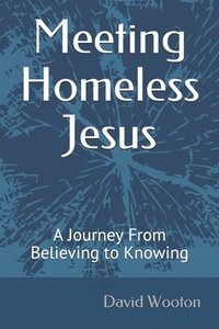 bokomslag Meeting Homeless Jesus: A Journey From Believing to Knowing