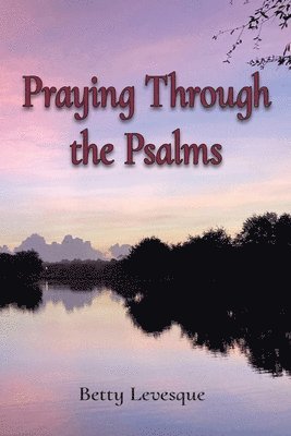 bokomslag Praying Through the Psalms