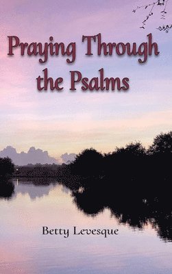 bokomslag Praying Through the Psalms