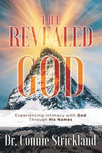 bokomslag Revealed God