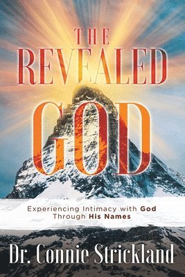 bokomslag Revealed God