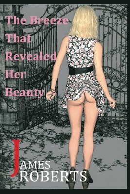 James Roberts, James Roberts Hutchinson - Breeze That Revealed Her Beauty, Häftad