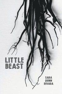 bokomslag Little Beast