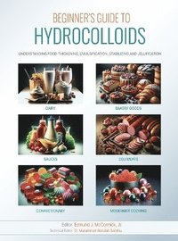 bokomslag Beginners Guide to Hydrocolloids