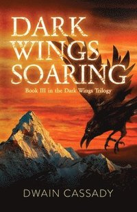 bokomslag Dark Wings Soaring