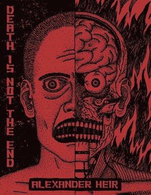 Death Is Not The End: The Work of Alexander Heir