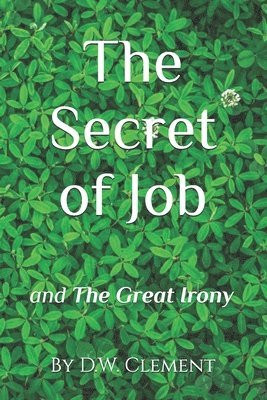 bokomslag Secret of Job