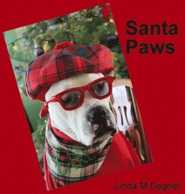 Santa Paws 1