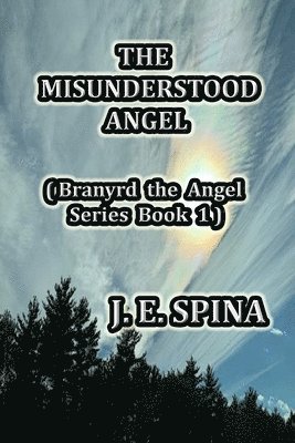 bokomslag Misunderstood Angel