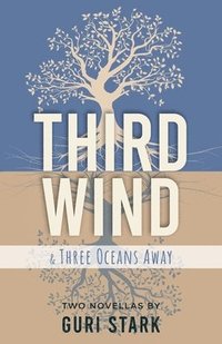 bokomslag Third Wind