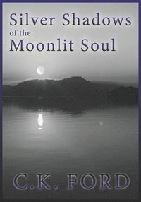 bokomslag Silver Shadows of the Moonlit Soul