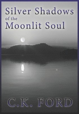 bokomslag Silver Shadows of the Moonlit Soul