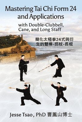 bokomslag Mastering Tai Chi Form 24