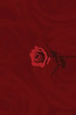 Various Authors - Roses, Häftad. Tillgänglighet: Lägg i varukorg