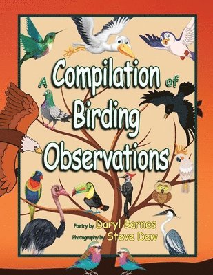 A Compilation of Birding Observations 1