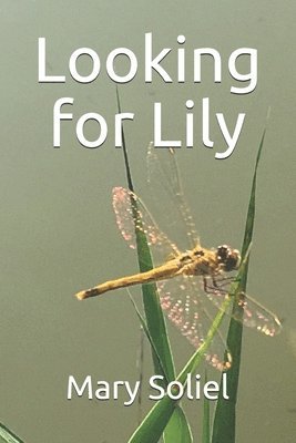 Looking for Lily 1