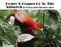 bokomslag Honey & Grapes Go To The Amazon