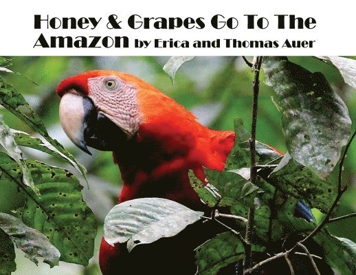 Honey & Grapes Go To The Amazon 1