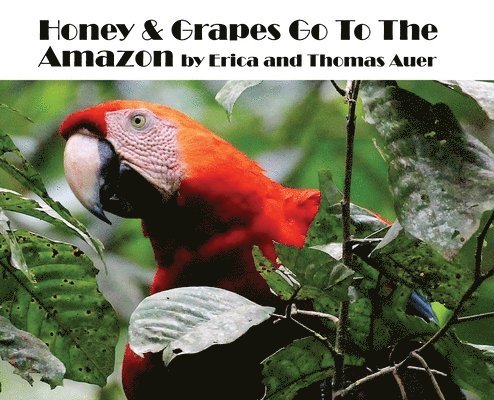 Honey & Grapes Go To The Amazon 1