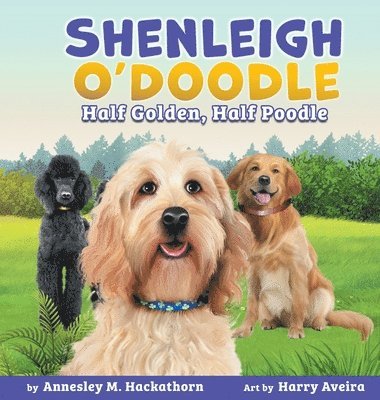 Shenleigh O'Doodle, Half Golden, Half Poodle 1