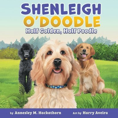 Shenleigh O'Doodle, Half Golden, Half Poodle