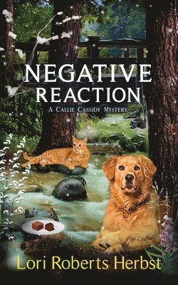 Negative Reaction 1