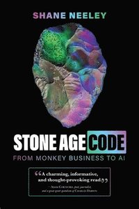 bokomslag Stone Age Code