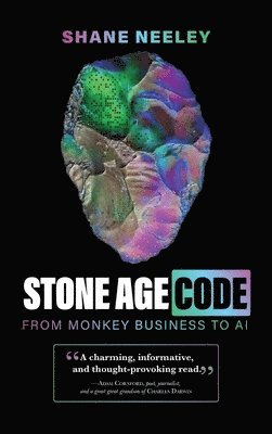 bokomslag Stone Age Code