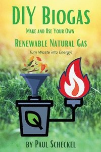 bokomslag DIY Biogas