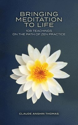Bringing Meditation to Life