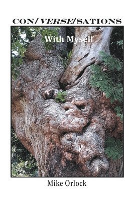bokomslag Con/ Verse/Sations with Myself