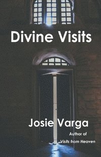 bokomslag Divine Visits