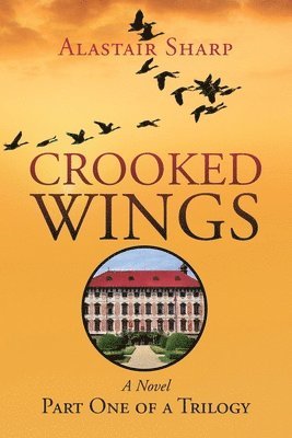 bokomslag Crooked Wings