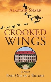bokomslag Crooked Wings
