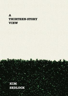 bokomslag Thirteen-Story View