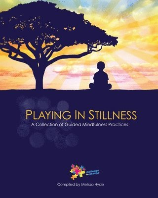 Molly Schreiber, Melissa Hyde, Paula Purcell - Playing in Stillness, Häftad