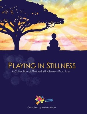 Molly Schreiber, Melissa Hyde, Paula Purcell - Playing in Stillness, Inbunden