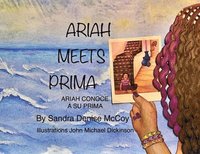 bokomslag Ariah Meets Prima