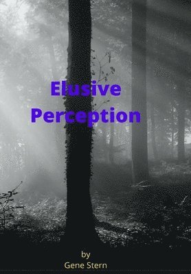 Elusive Perception 1